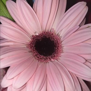 Meet your Posher, Emeli